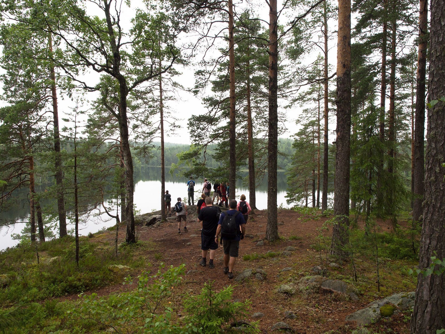 Hiking-Finland