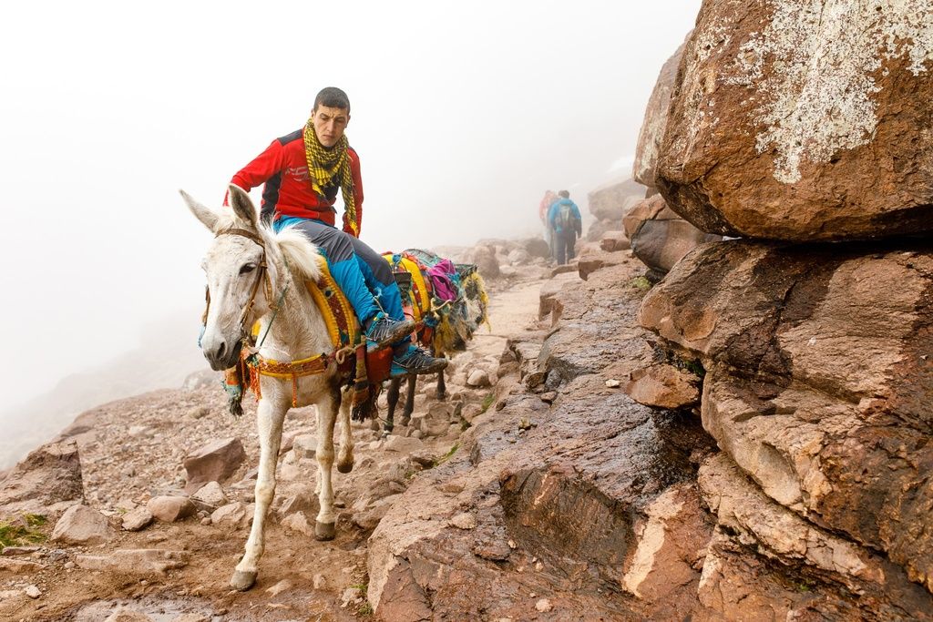 A man riding a Mule in Imlil, Morocco