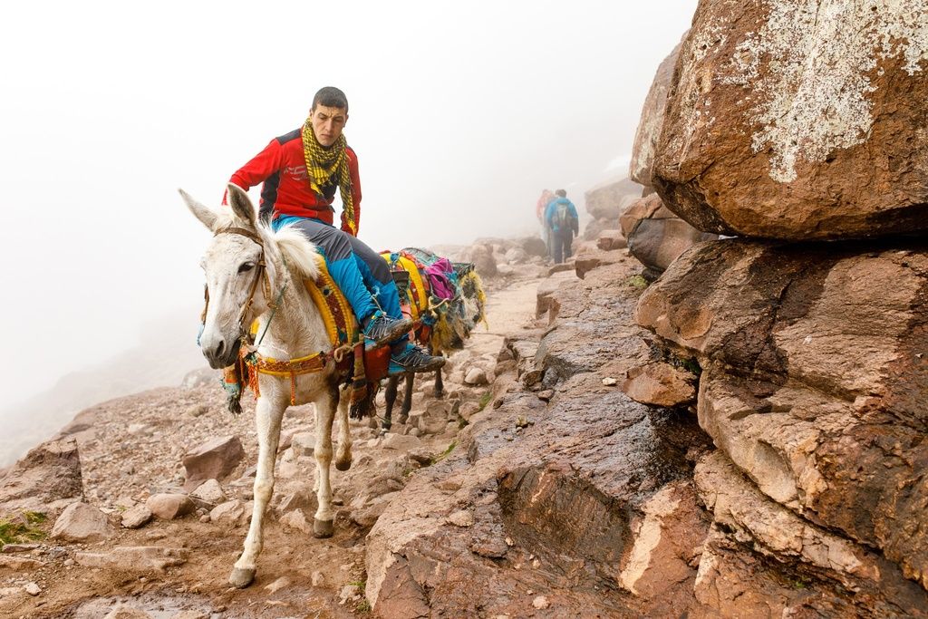 Mule, Imlil, Morocco A man riding a Mule in Imlil, Morocco