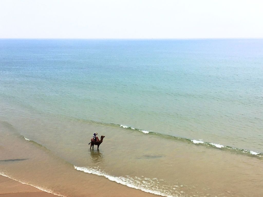 A man riding a camel on a beach in Taghazout, Morocco