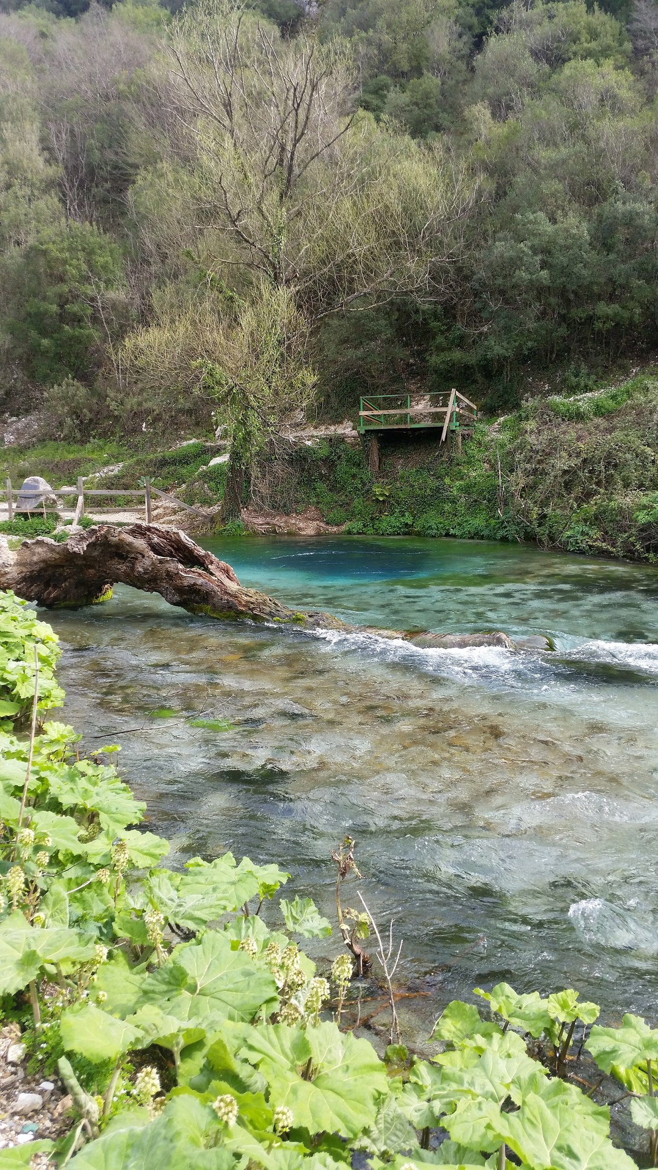 The Blue Eye of Muzine, a freshwater spring of vibrant blue water in Albania