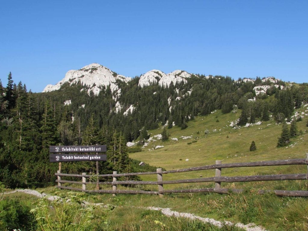 Velebit Botanical Garden in the Lika Region, Croatia