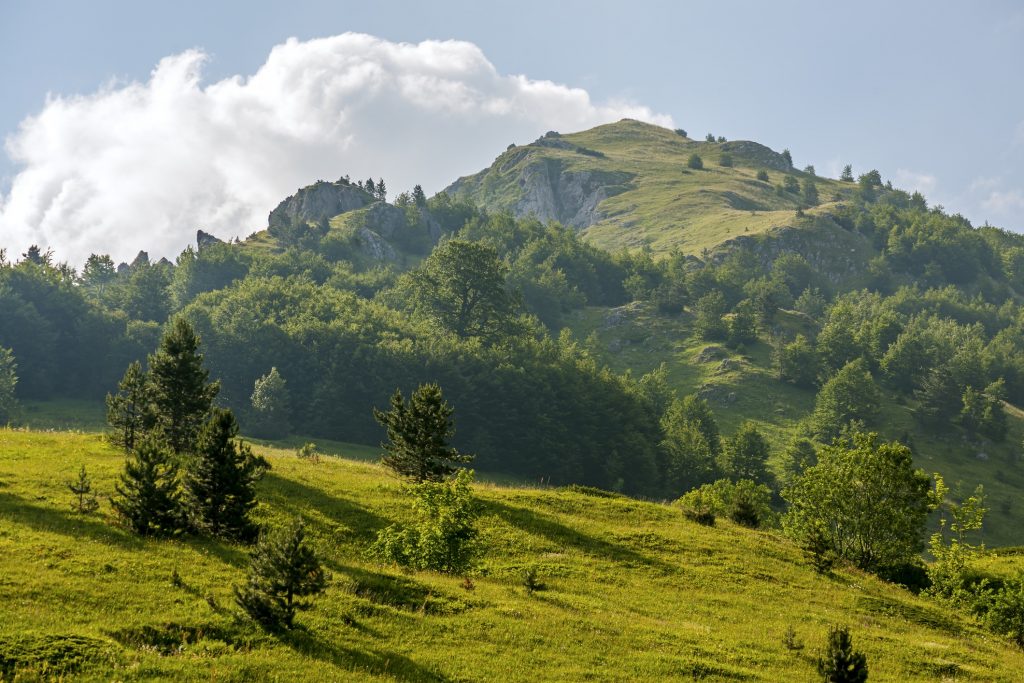 National-Park-Sutjeska-Bosnia-and-Herzegovina