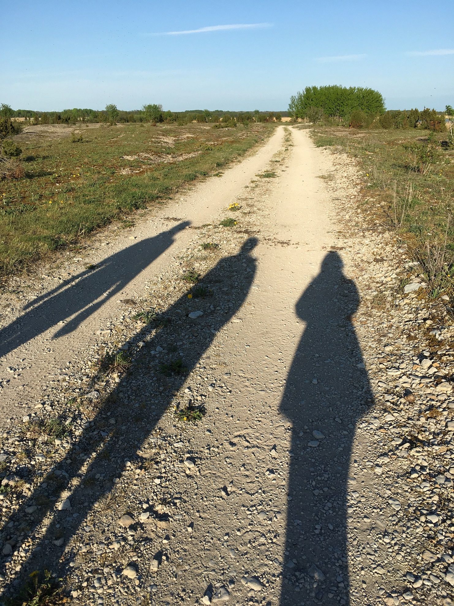 Walk-Estonia