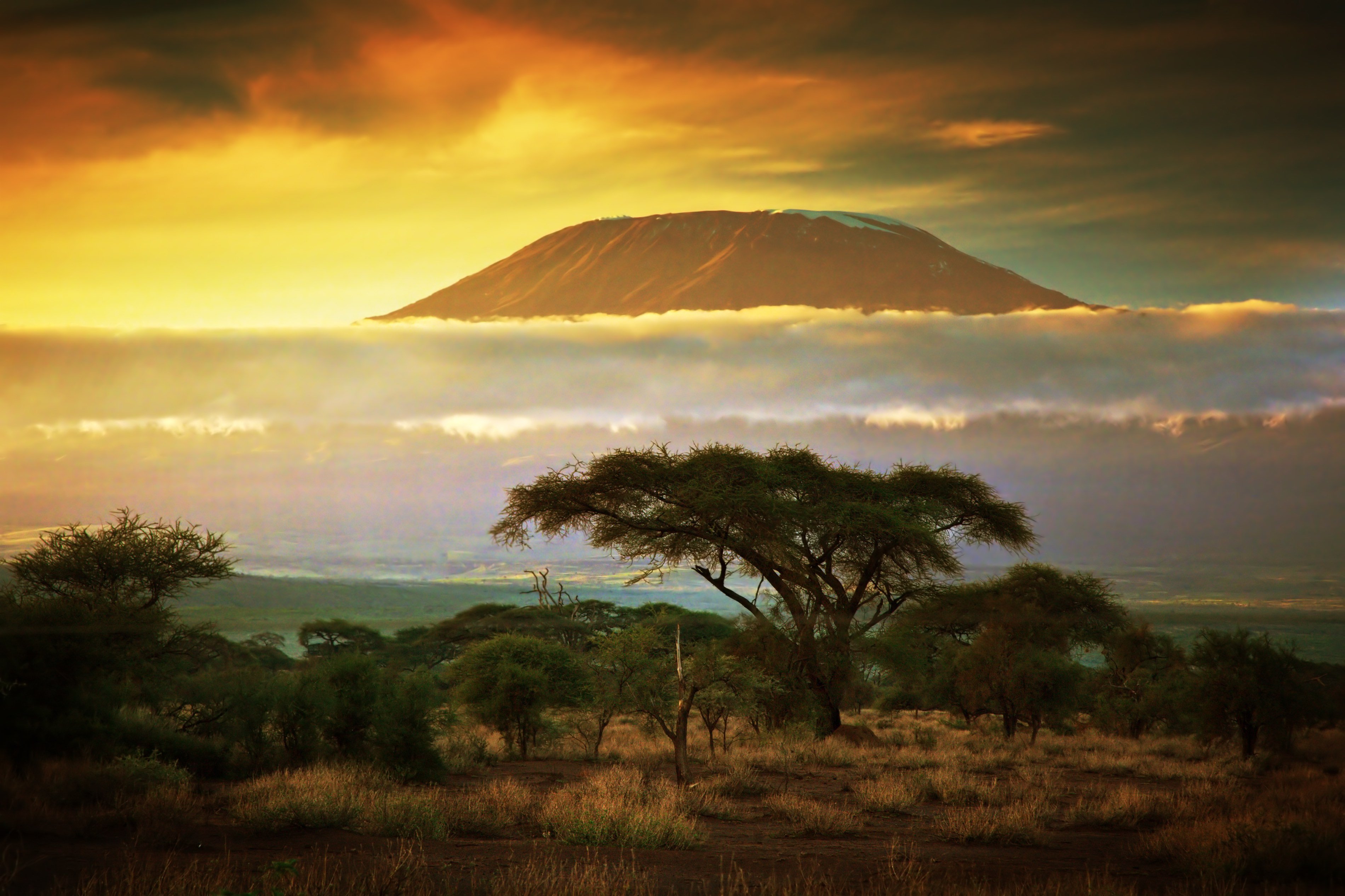 Mount Kilimanjaro behind a bank of cloud.
