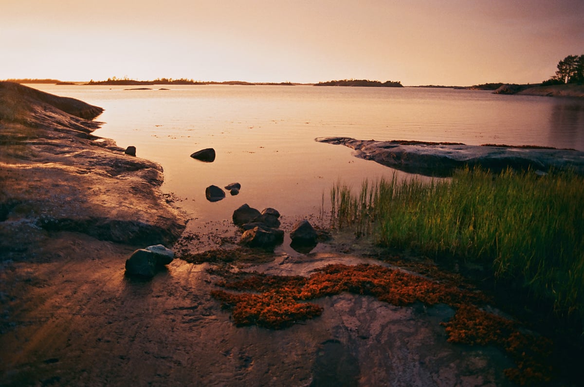 The shores of Västra Örholmen, a small island in the Saint Anna archipelago