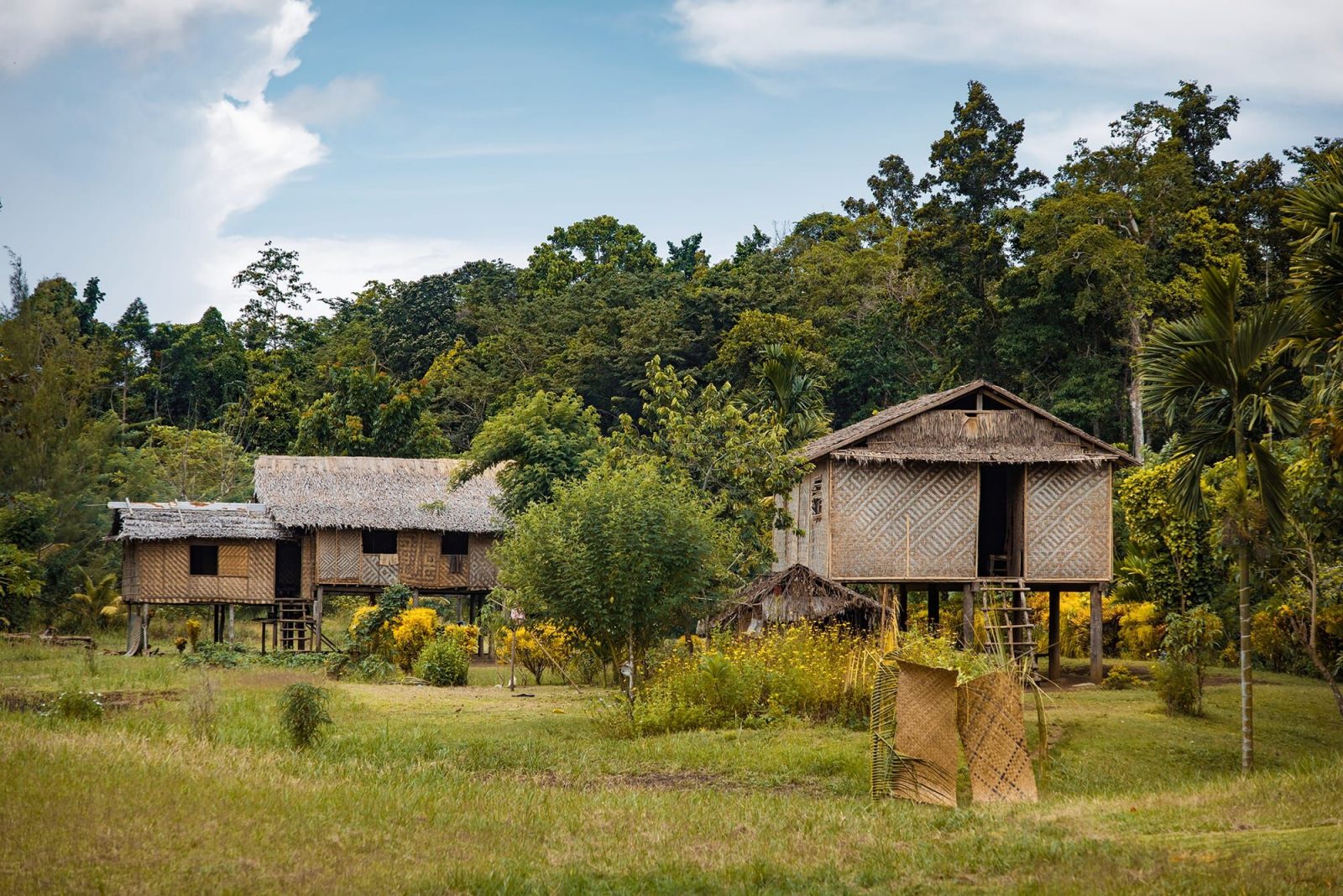 The beautiful huts of Sololo Village, Papua New Guinea.