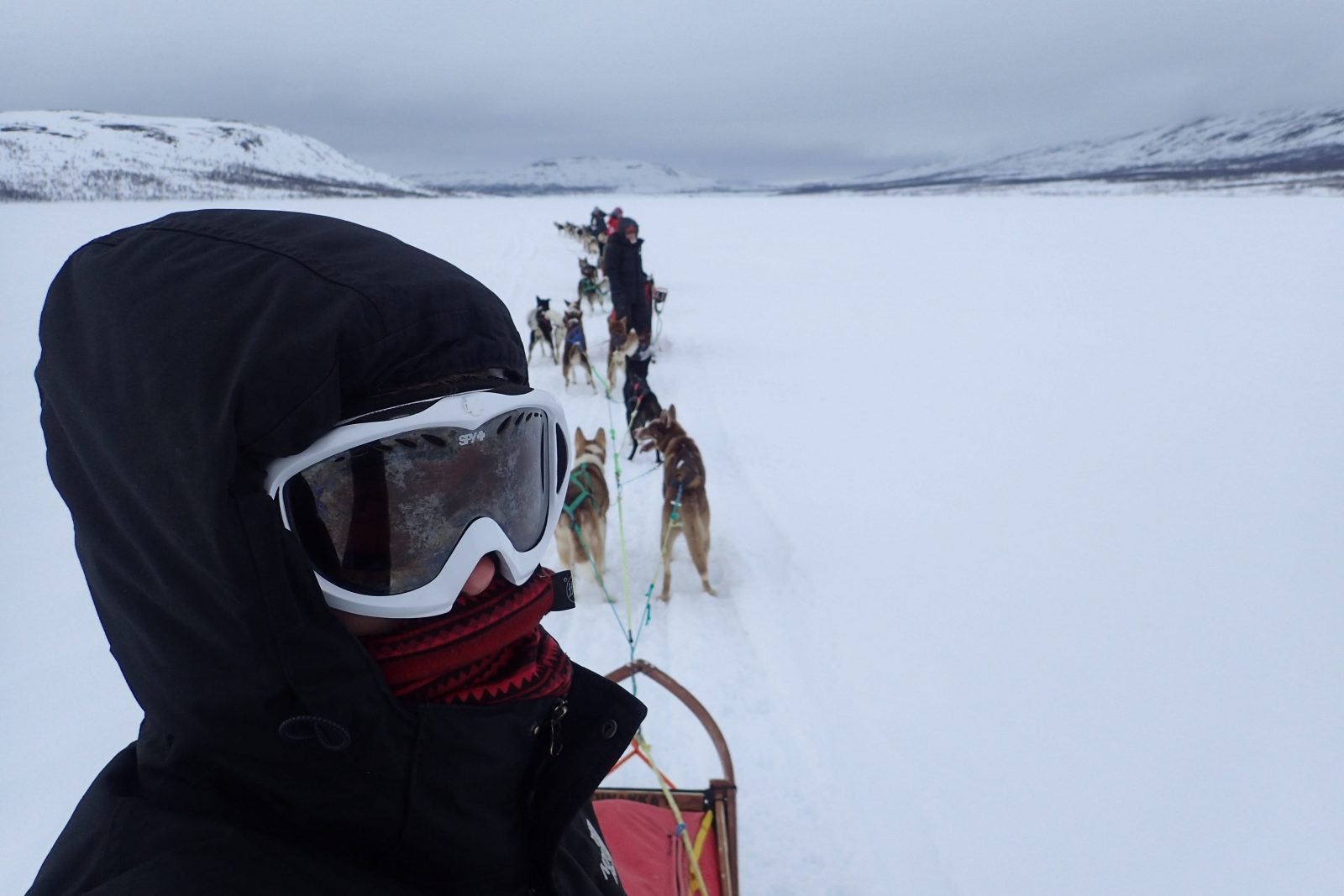 A selfie taken in the Arctic, by someone wearing ski goggles and a hood - there are sled dogs in the background.
