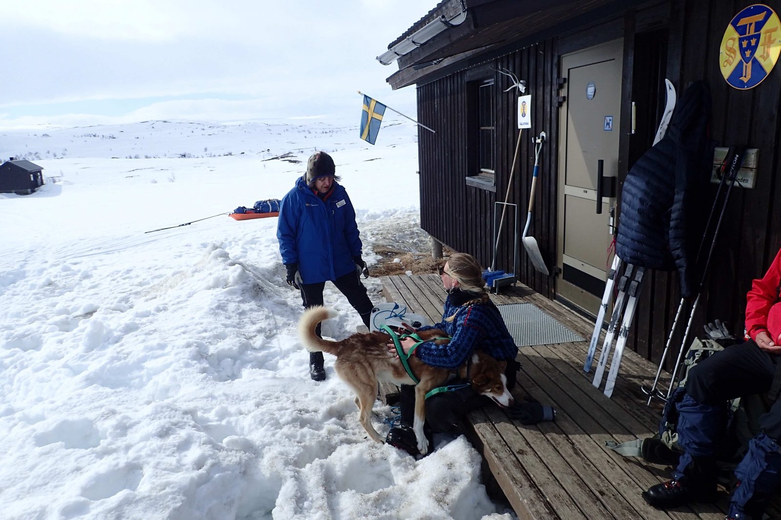 Hikers chat on the doorstep of a hut in the Norwegian Arctic; one cuddles a sled dog.