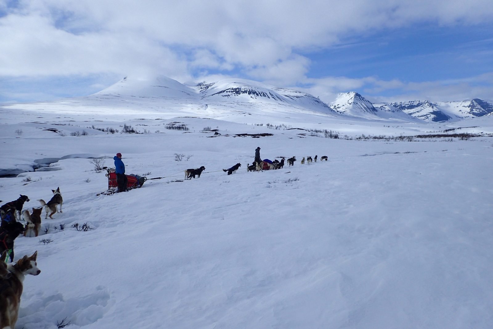 dog-sledding-arctic-circle A group of people dog sledding in the Arctic, near Tromso.