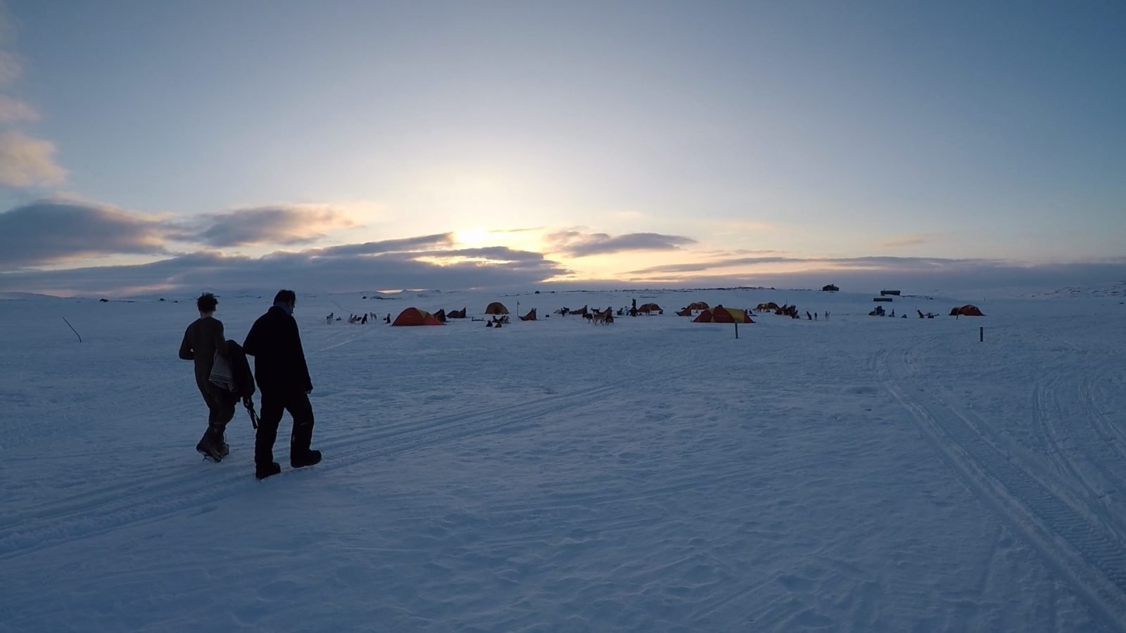 dog-sledding-norway A campsite surrounded by snow, under the midnight sun.