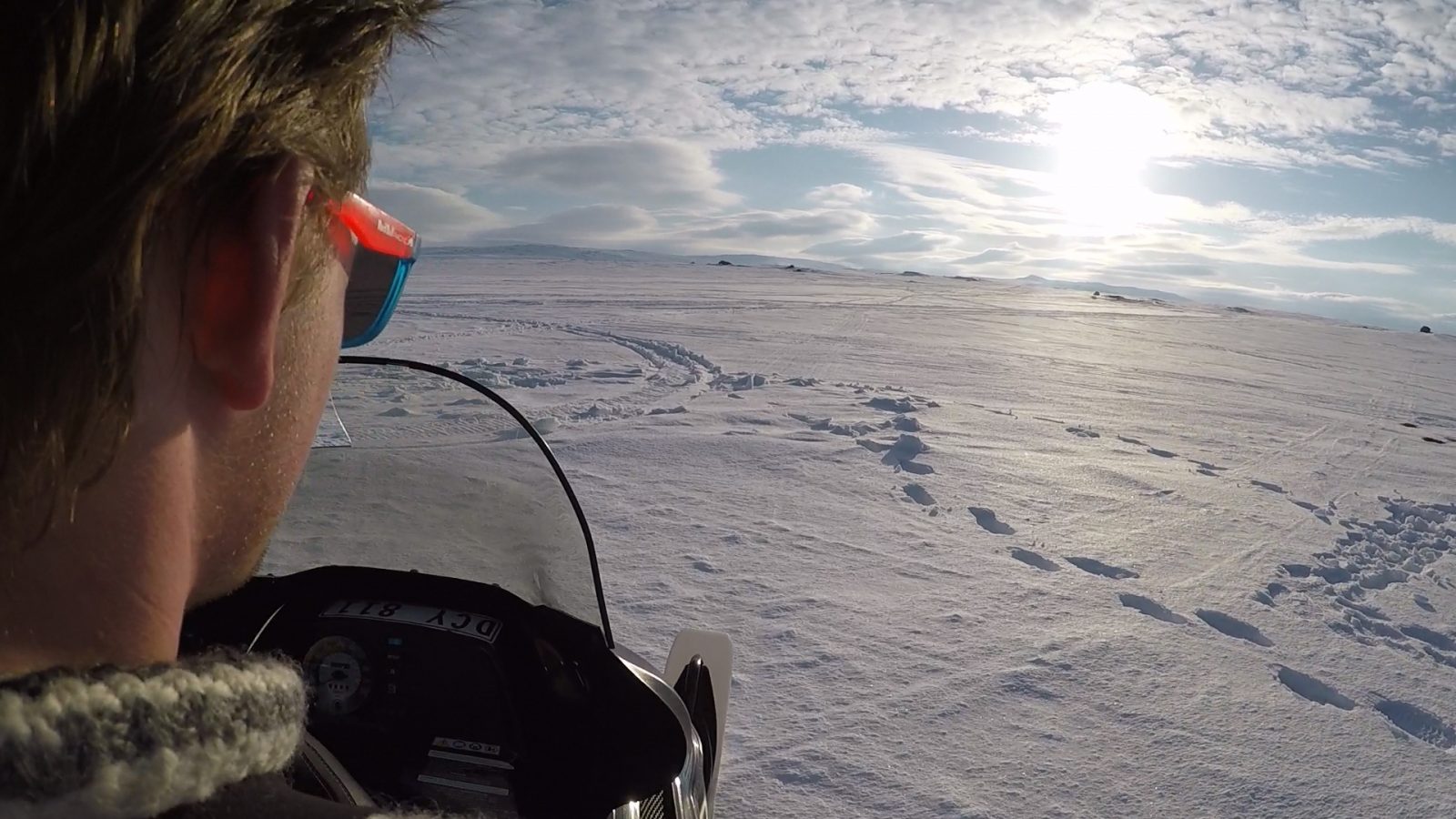 A man looks out across the Arctic tundra from his dogsled.