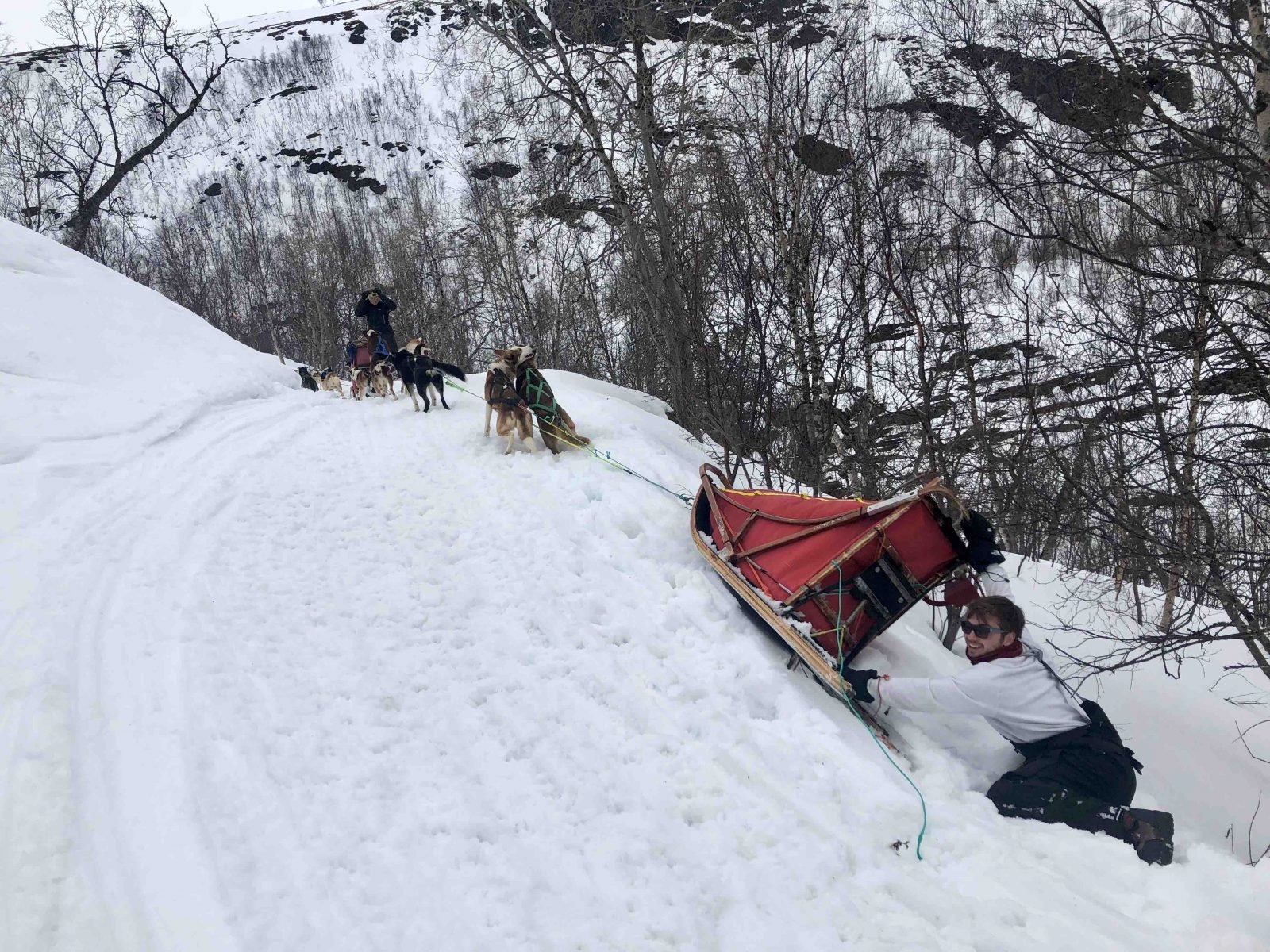 A tourist smiles next to a capsized dog sled