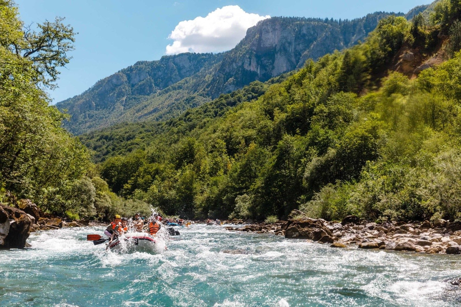 raft-tara-river-montenegro
