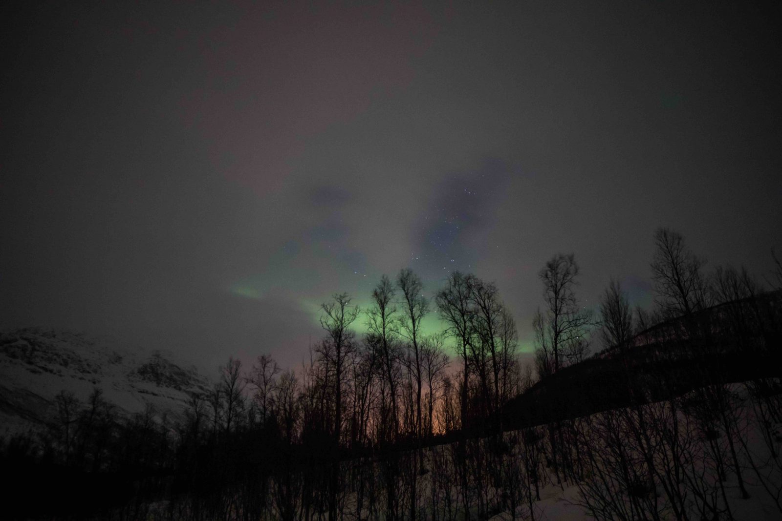 The Northern Lights above Tromso.