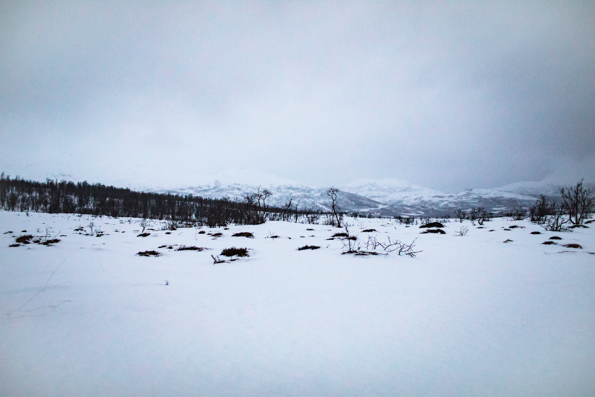 The Arctic Tundra near Tromso, Norway