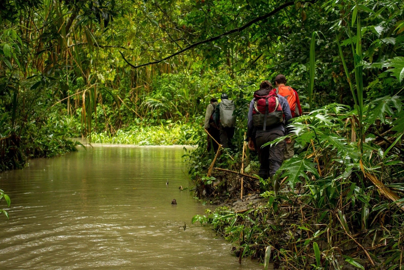 Hikers trek along the banks of a river in the UNESCO-listed Manu Biosphere Reserve
