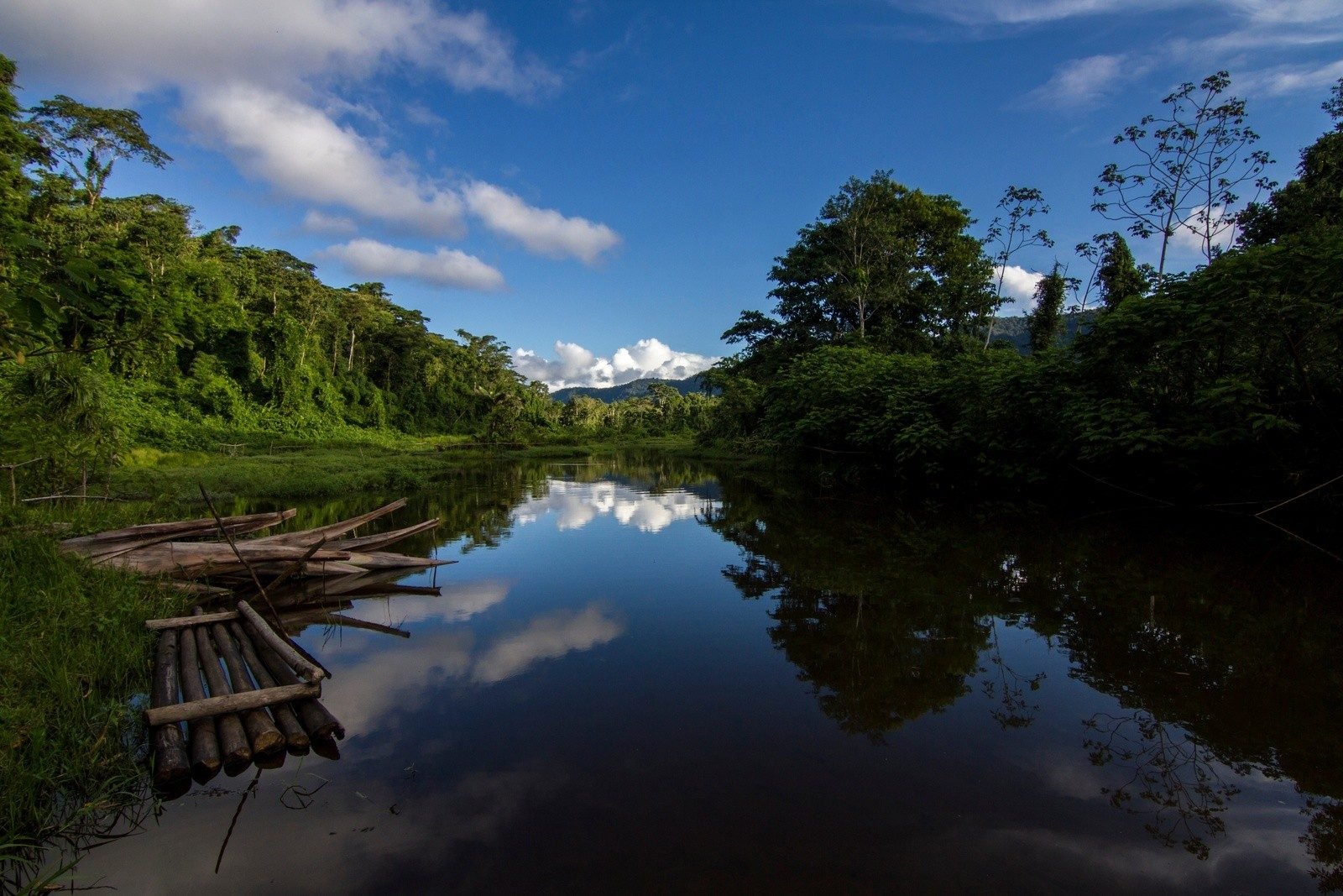 A tranquil lake in the Manu Biosphere Reserve