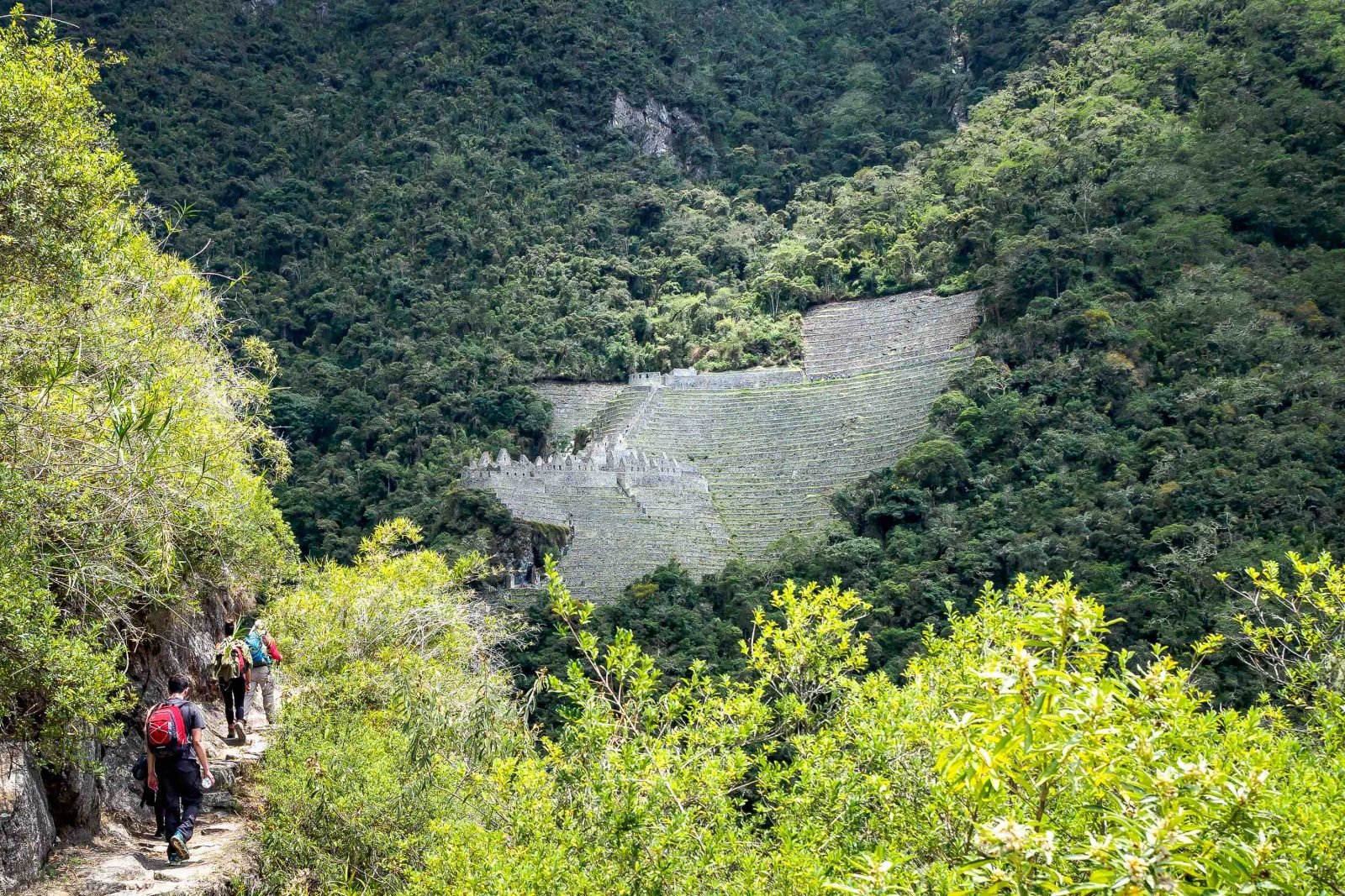 Hikers trek through the forest in Peru, towards the Winay Wayna ruins