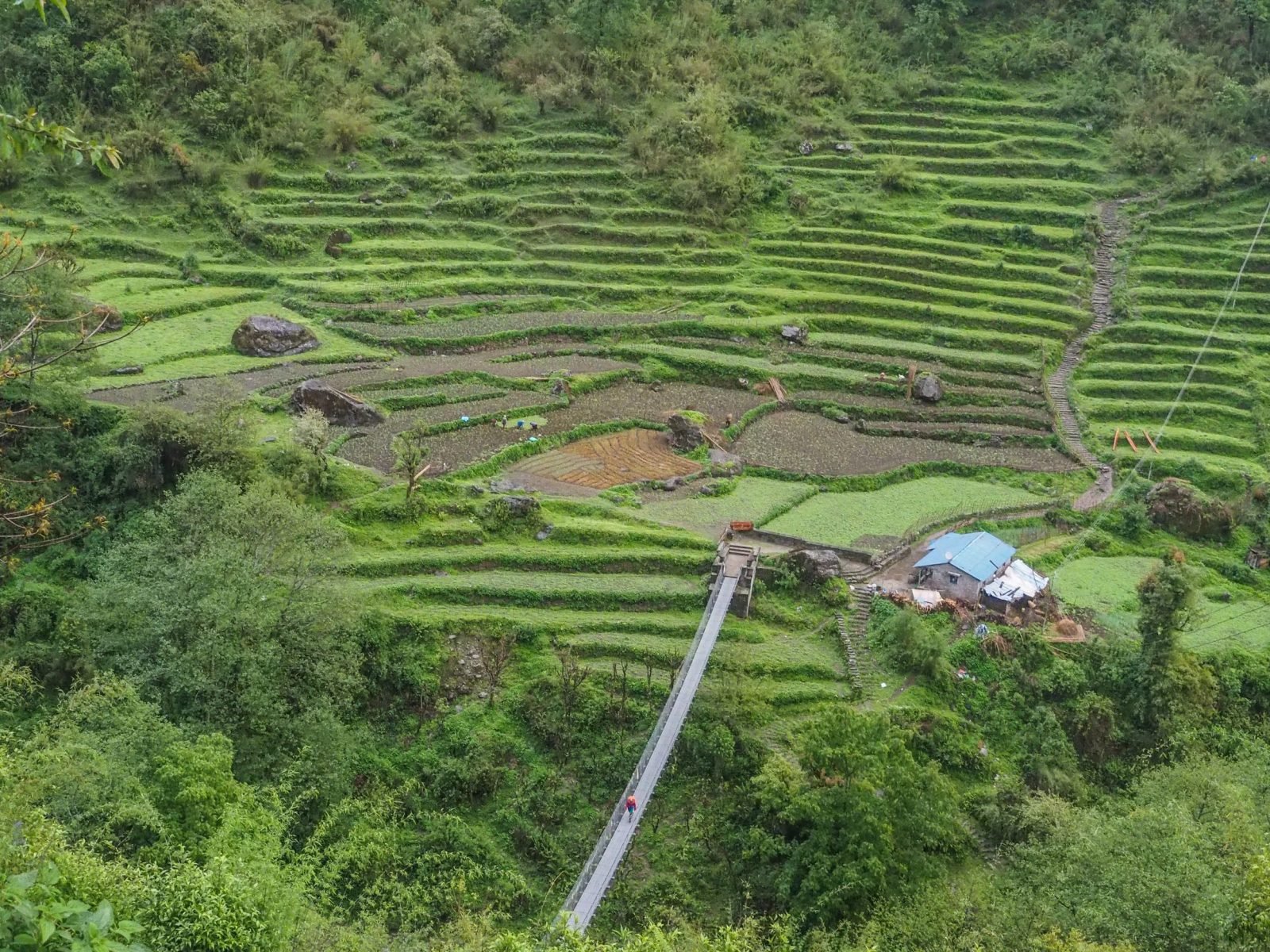 Farm Land on the Annapurna Circuit trek.