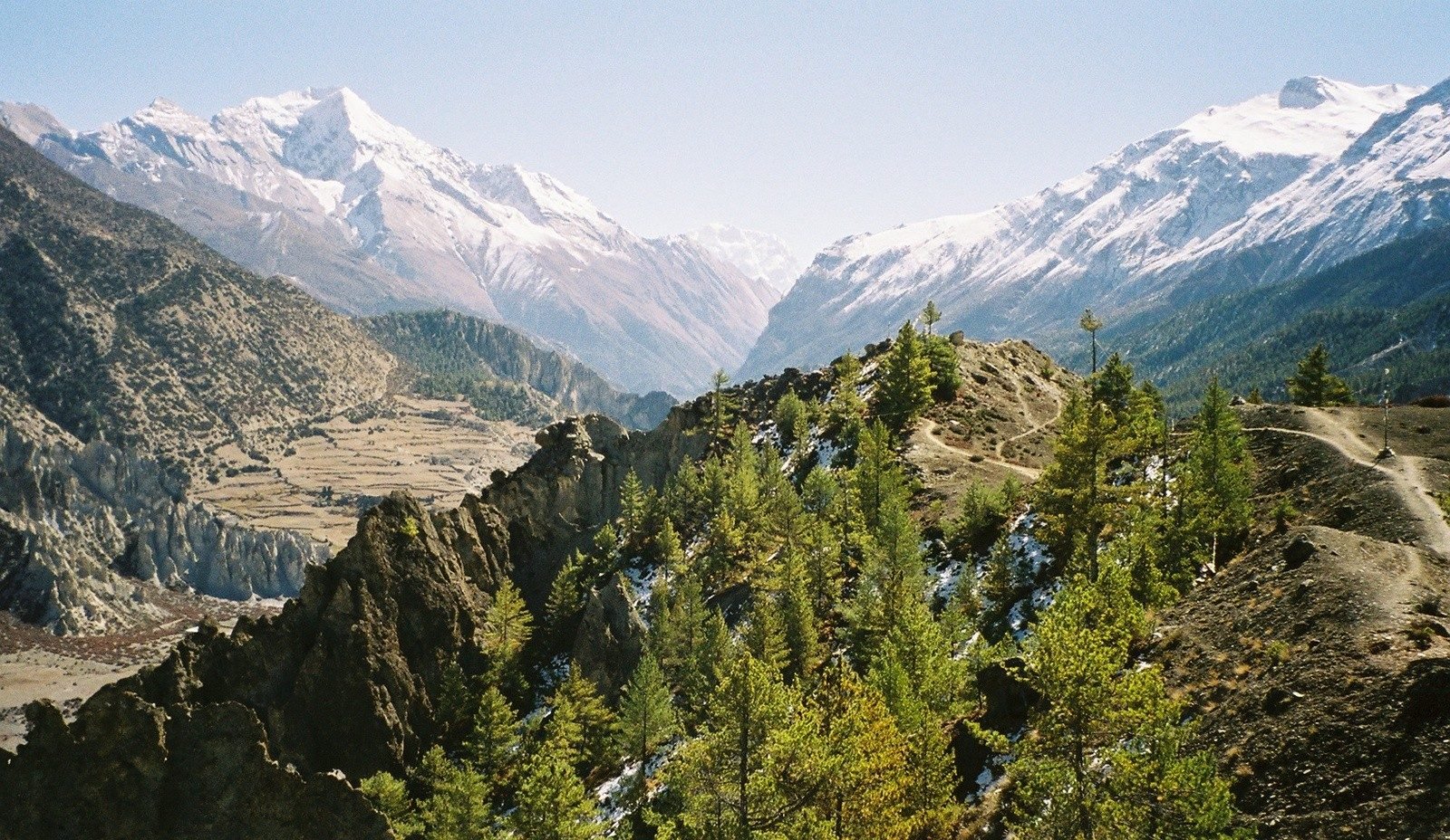 Pine forests, terraced fields and mountains in the Annapurna Massif, Nepal.