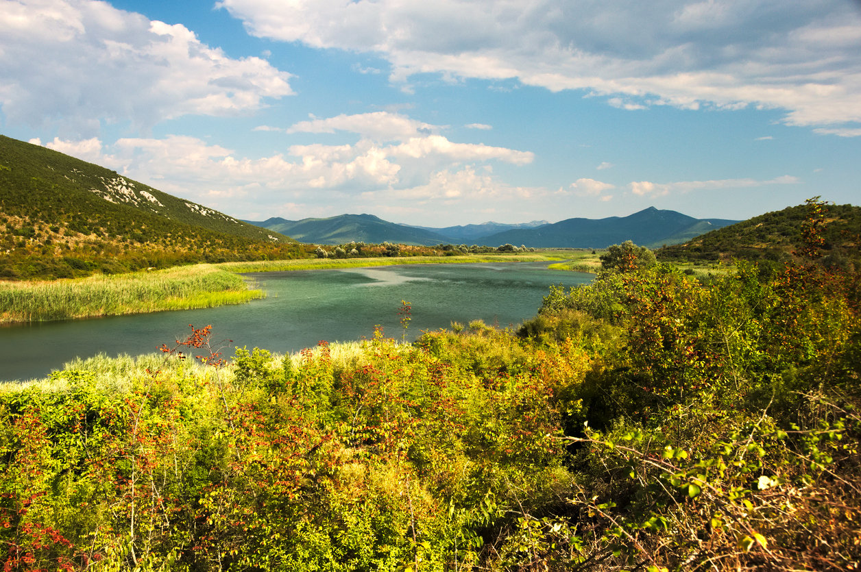 Hutovo Blato, a nature reserve in Croatia's Dalmatia region.