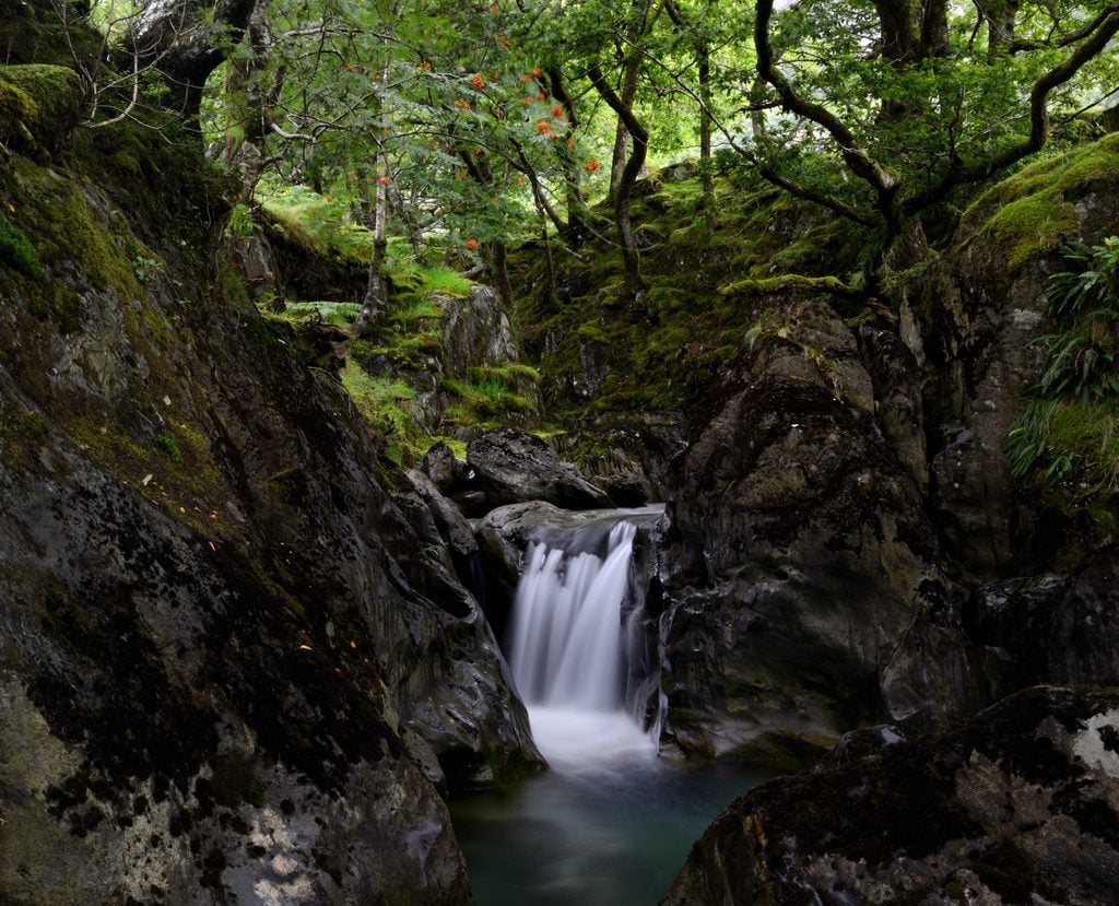 Mountain stream tumbling into Nant Gwynant, Snowdonia National Park