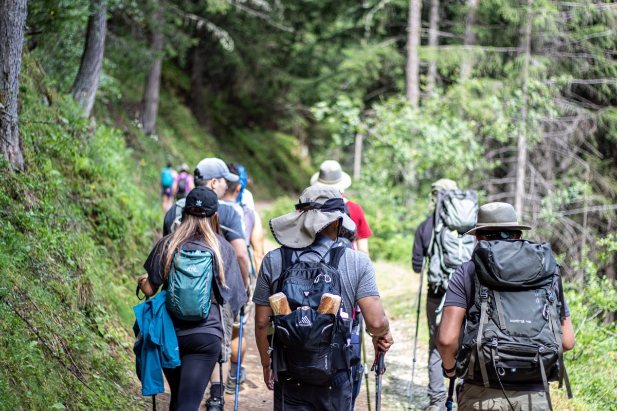 A hiking group walk in a forest.