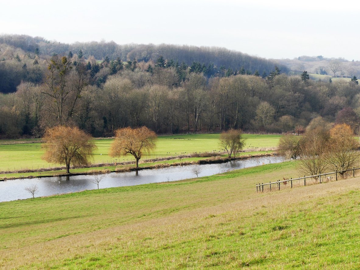 The Chess Valley, a chalk stream, which makes a great walk near London