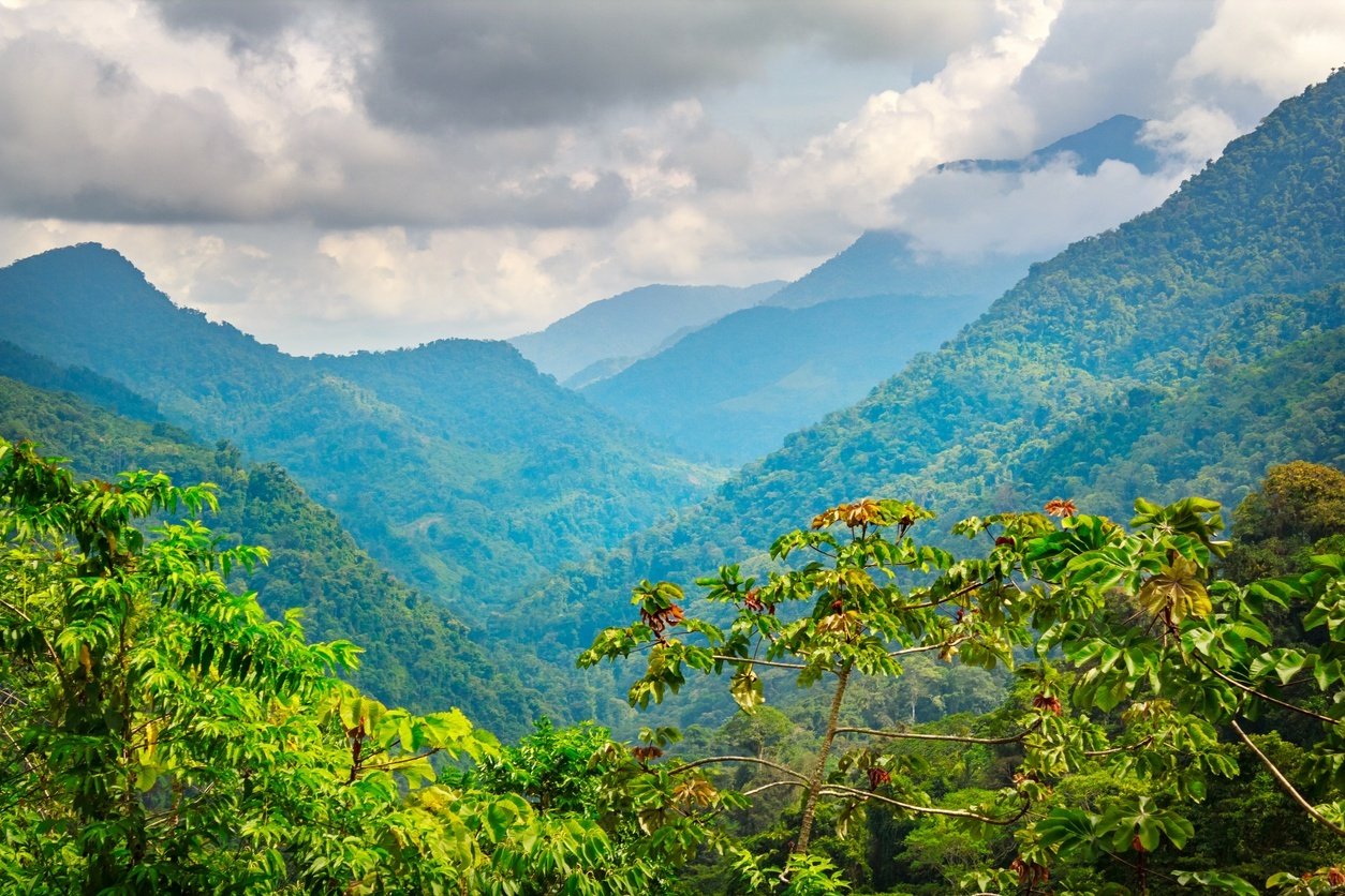 Mountain views in the Colombian jungle.