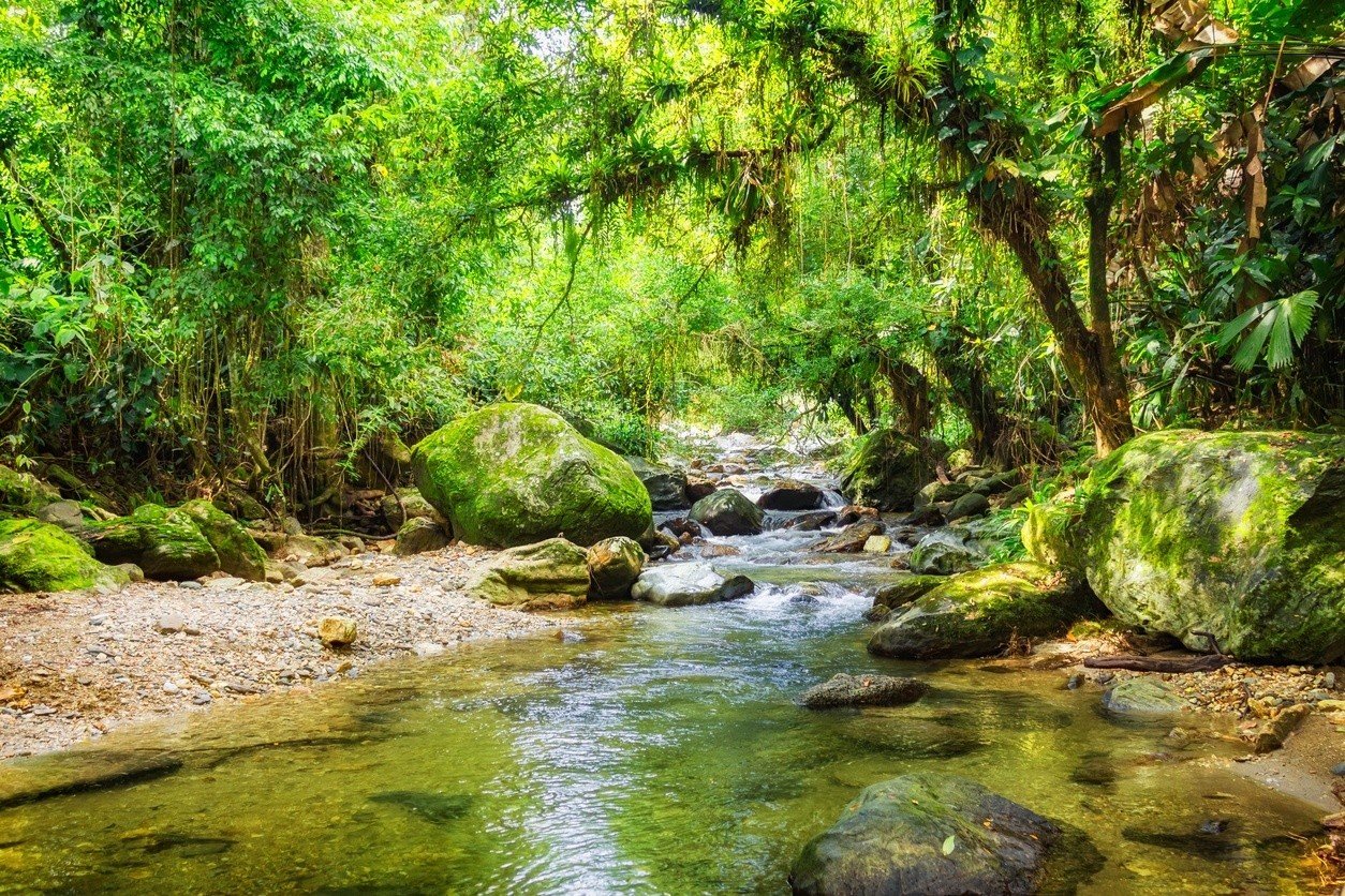 A quiet river on the Lost City trek.