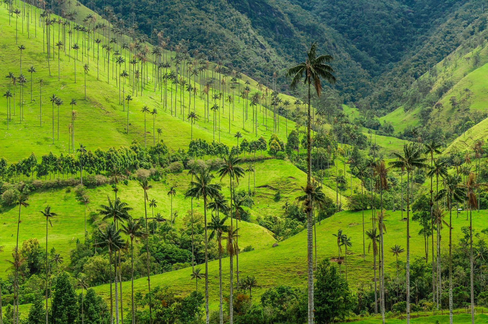 Colombia Trekking and Hiking