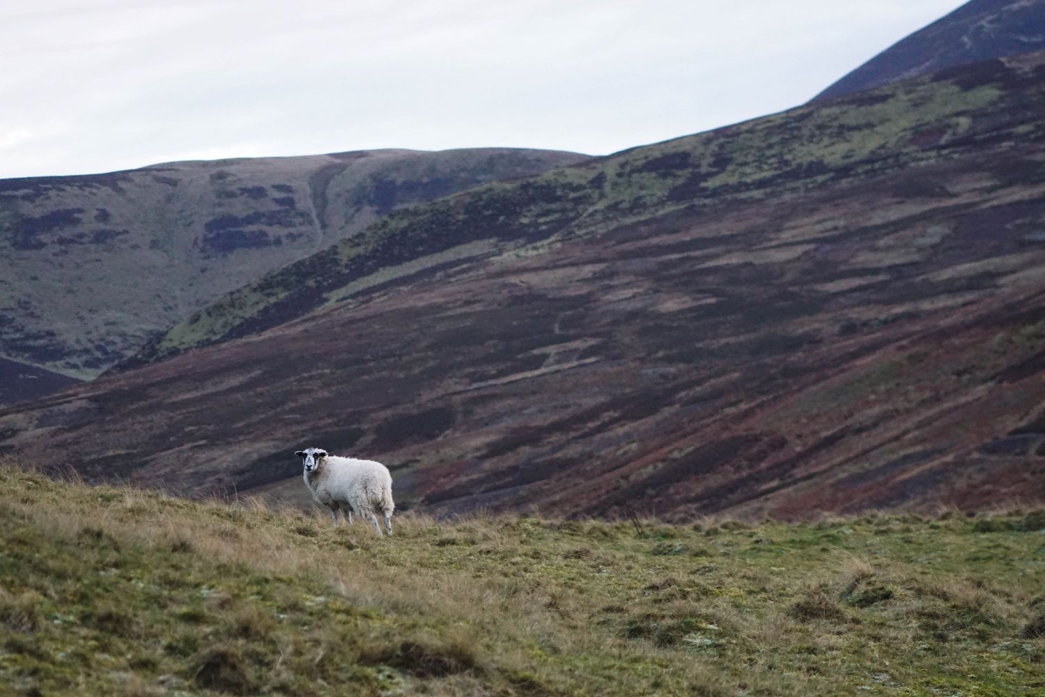 Edinburgh hikes treks walking in Scottish Capital 3