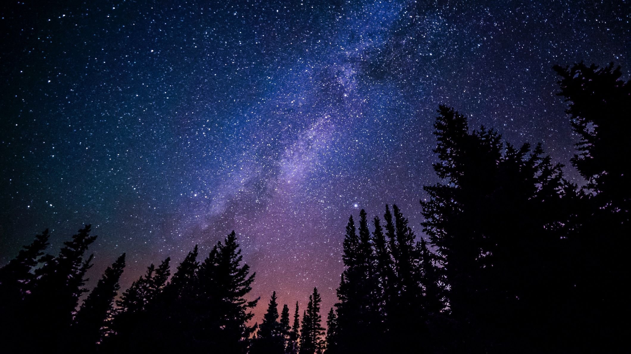 A beautiful view of the stars at night, looking up from a camping spot surrounded by dark trees. Photo: Getty