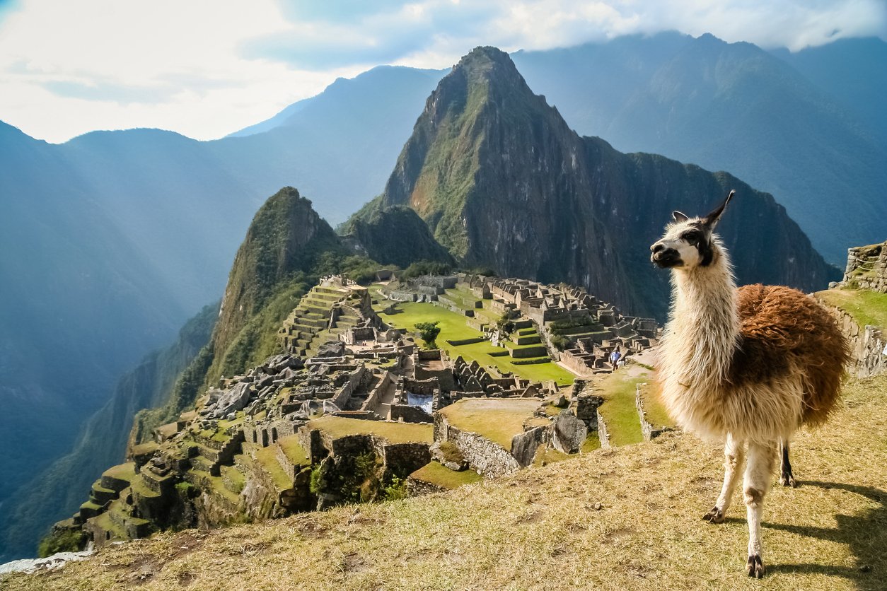 The classic Machu Picchu shot, with llama for good measure.