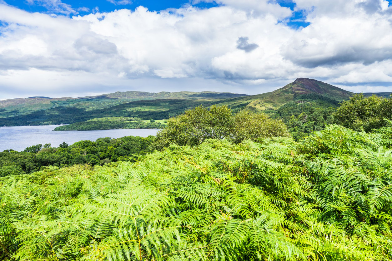 Loch Lomond panorama and Conic Hill seen from Inchcailloch Island, Scotland. Loch Lomond is a common day trip from Glasgow