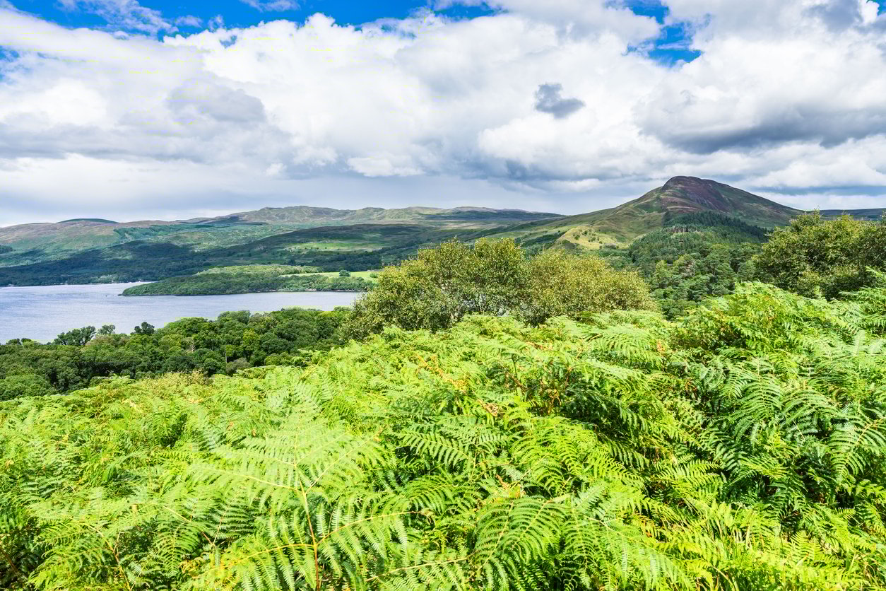Loch Lomond panorama and Conic Hill seen from Inchcailloch Island, Scotland.