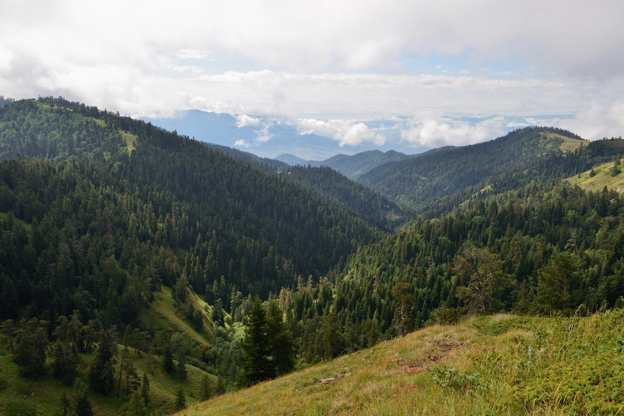 A view in Borjomi-Kharagauli National Park, Georgia.