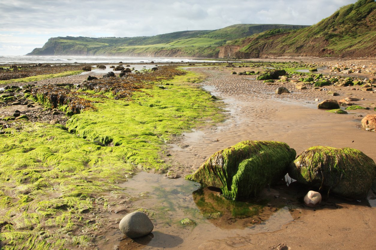 Robin Hood's Bay, North Yorkshire