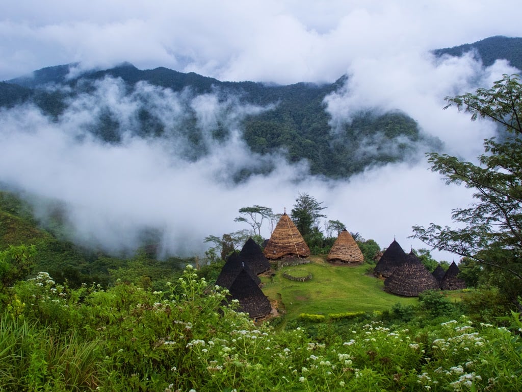 Conical huts of Wae Rebo, surrounded by clouds and forest.