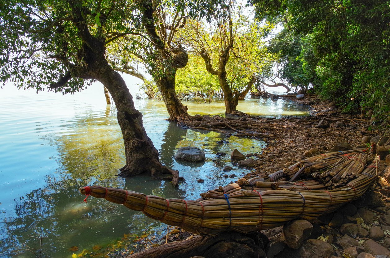 A traditional Ethiopian papyrus boat on the shores of Lake Tana | iStock: undefined undefined