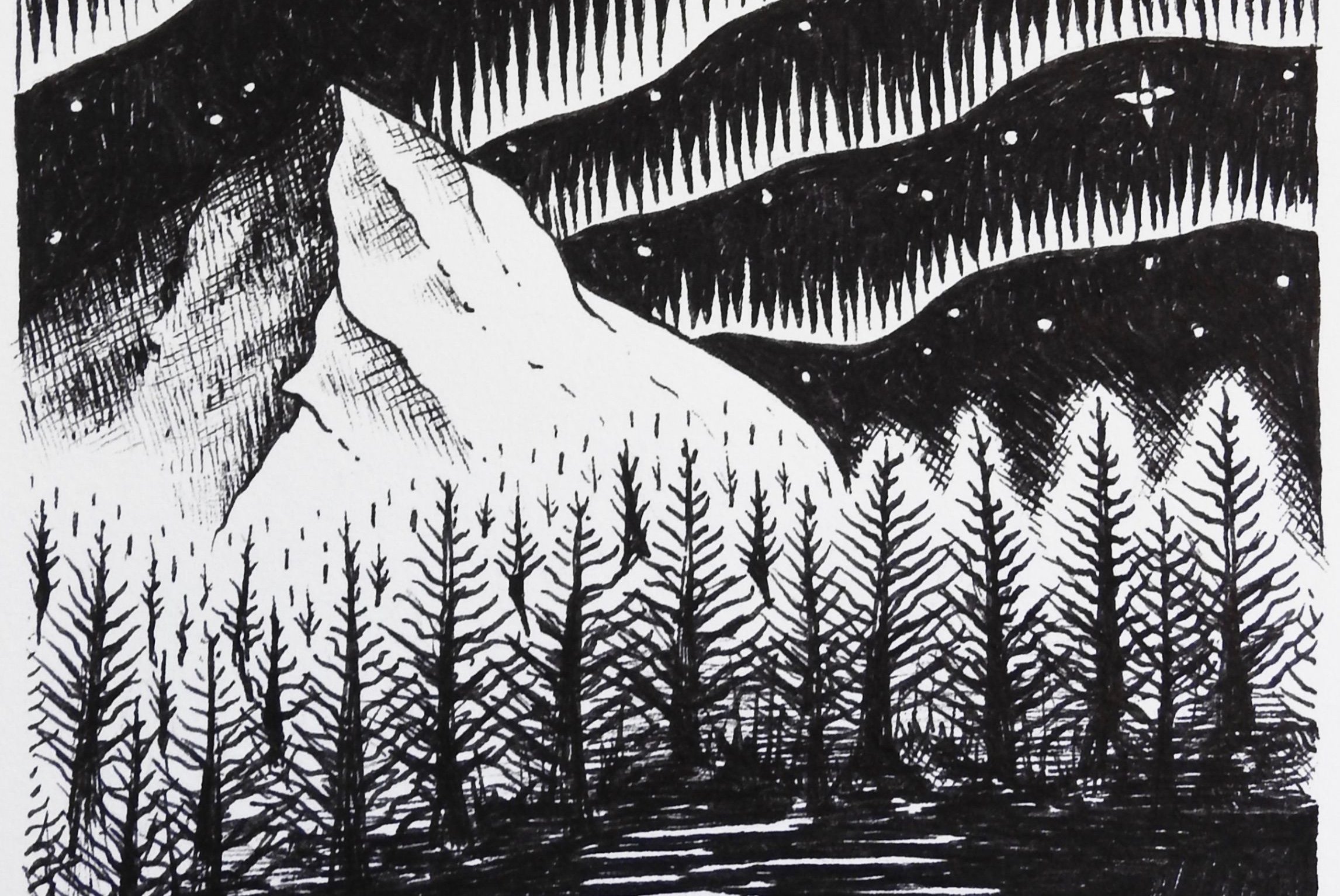 Polar Night, an illustration by Tiffany Francis.
