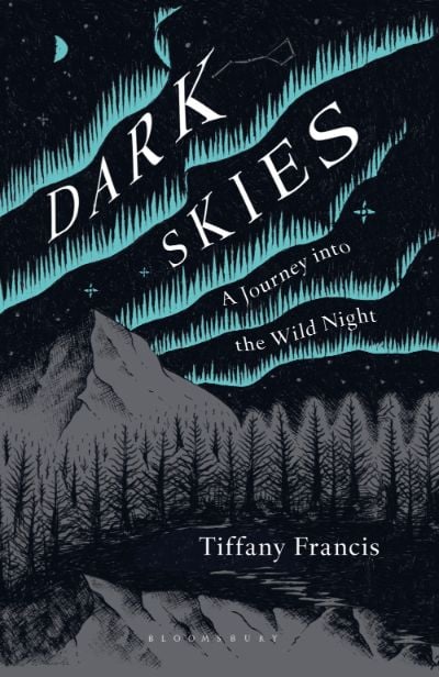 The book cover of Dark Skies, by Tiffany Francis