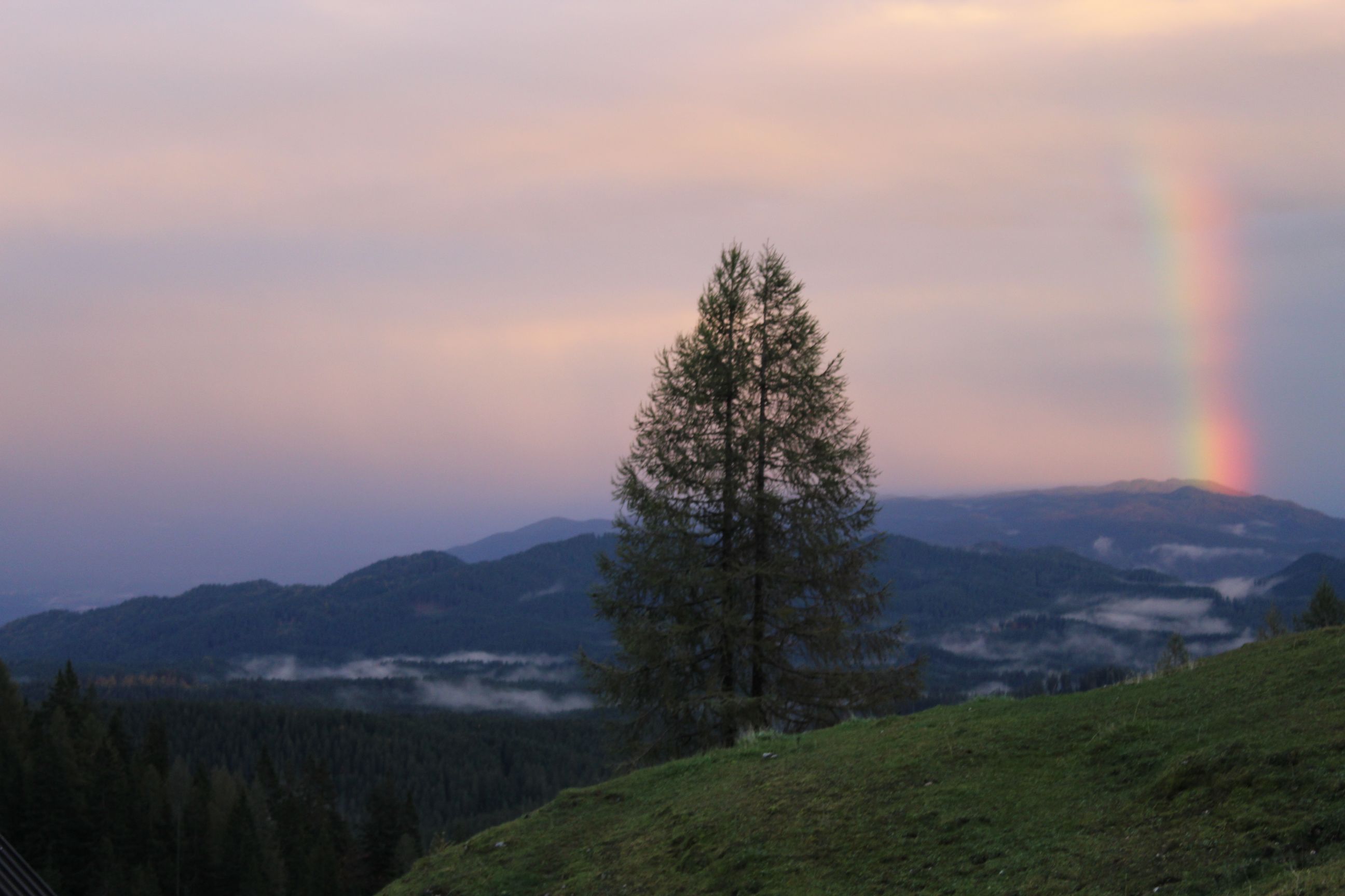 A landscape of forest and hills with a rainbow in the background.