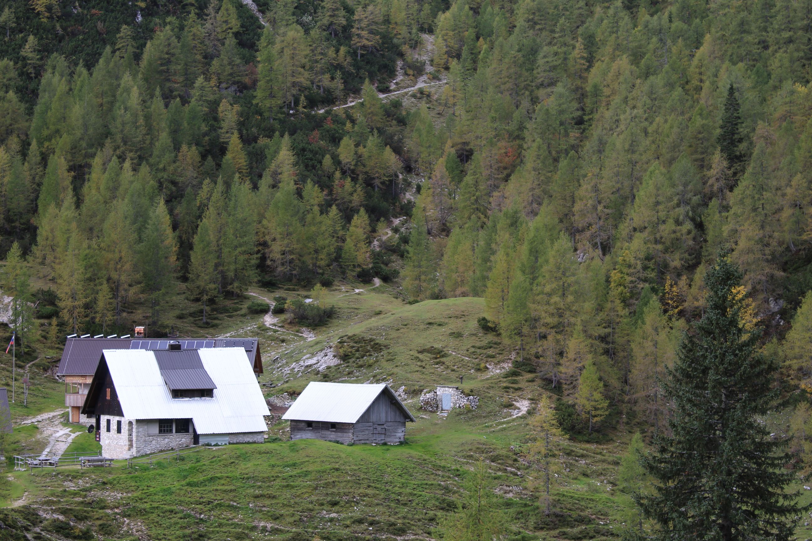 The Blejska Koča Mountain Hut in Slovenia, surrounded by pine forest.