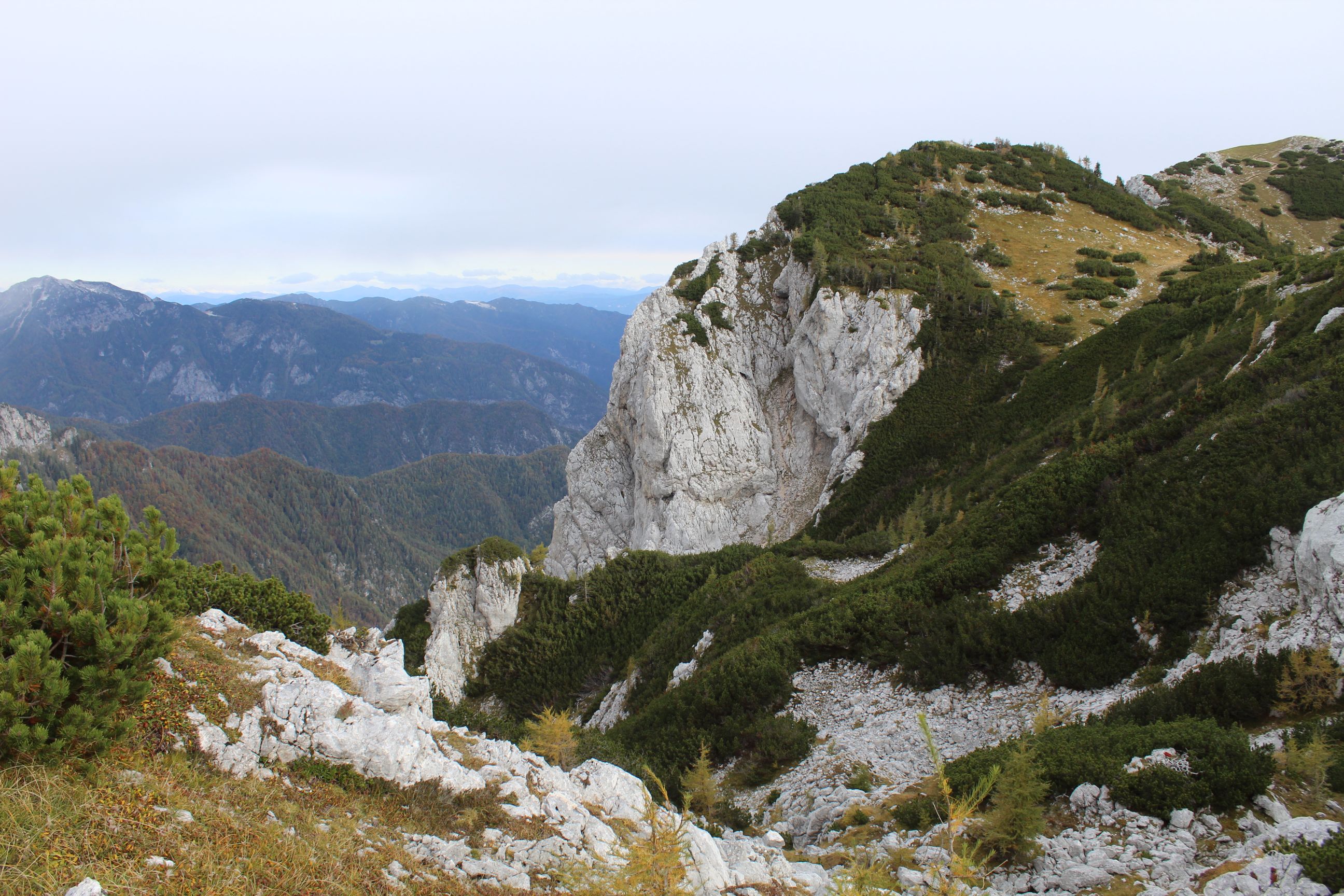 A limestone mountain in Slovenia, with forested slopes behind.