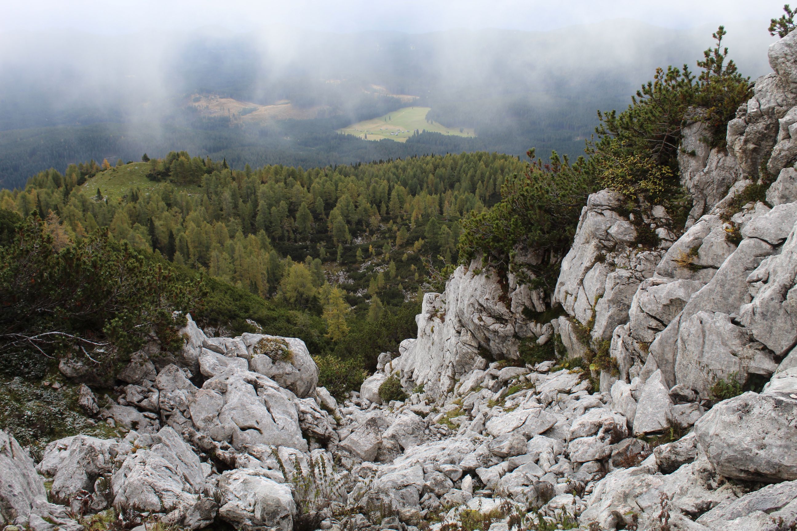 A view of the forest, looking down from the rocky Julian Alps in Slovenia.