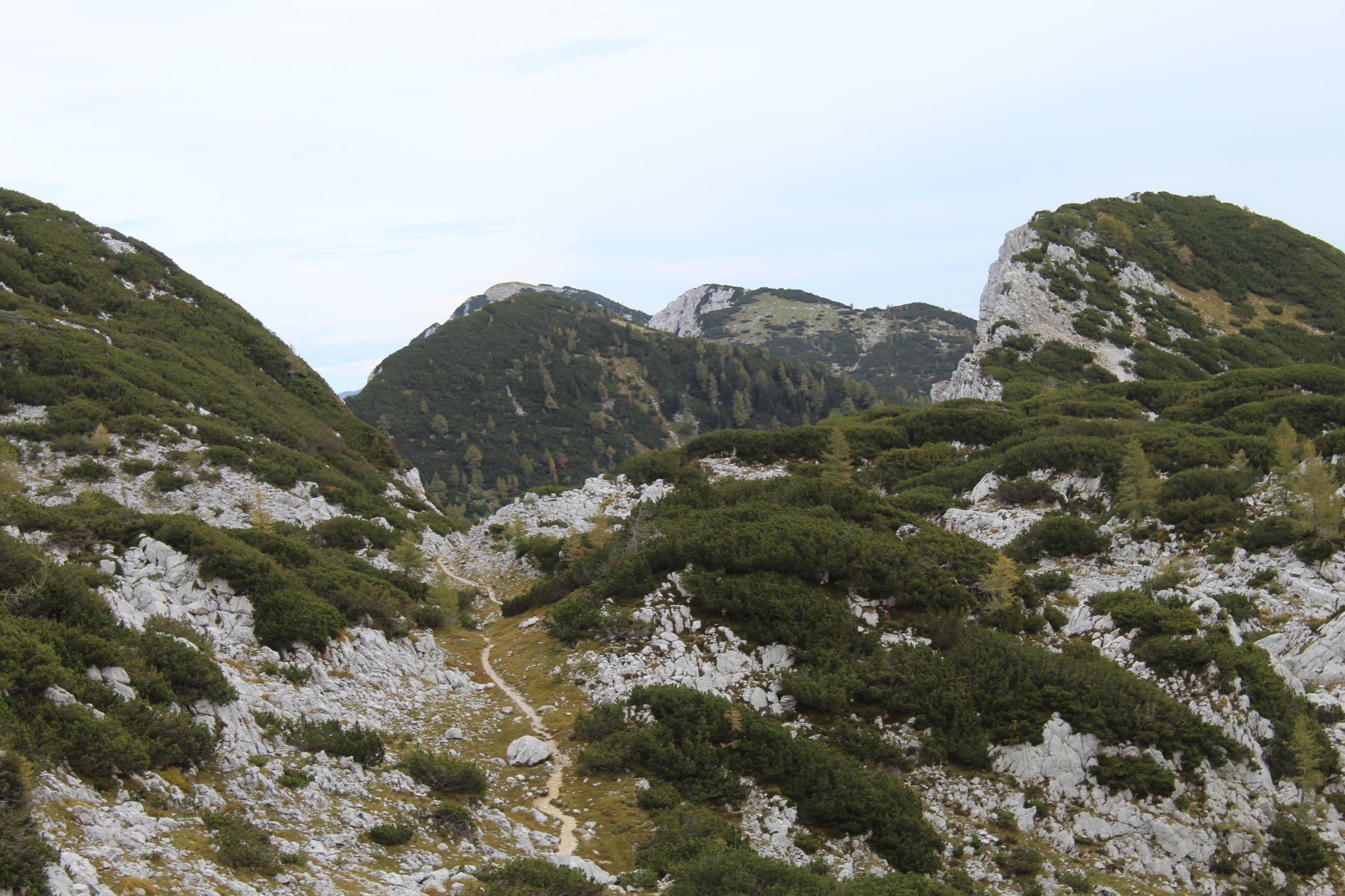 A stunning view of mountains on the way to Lipanski Vrh, a rocky summit in Slovenia.