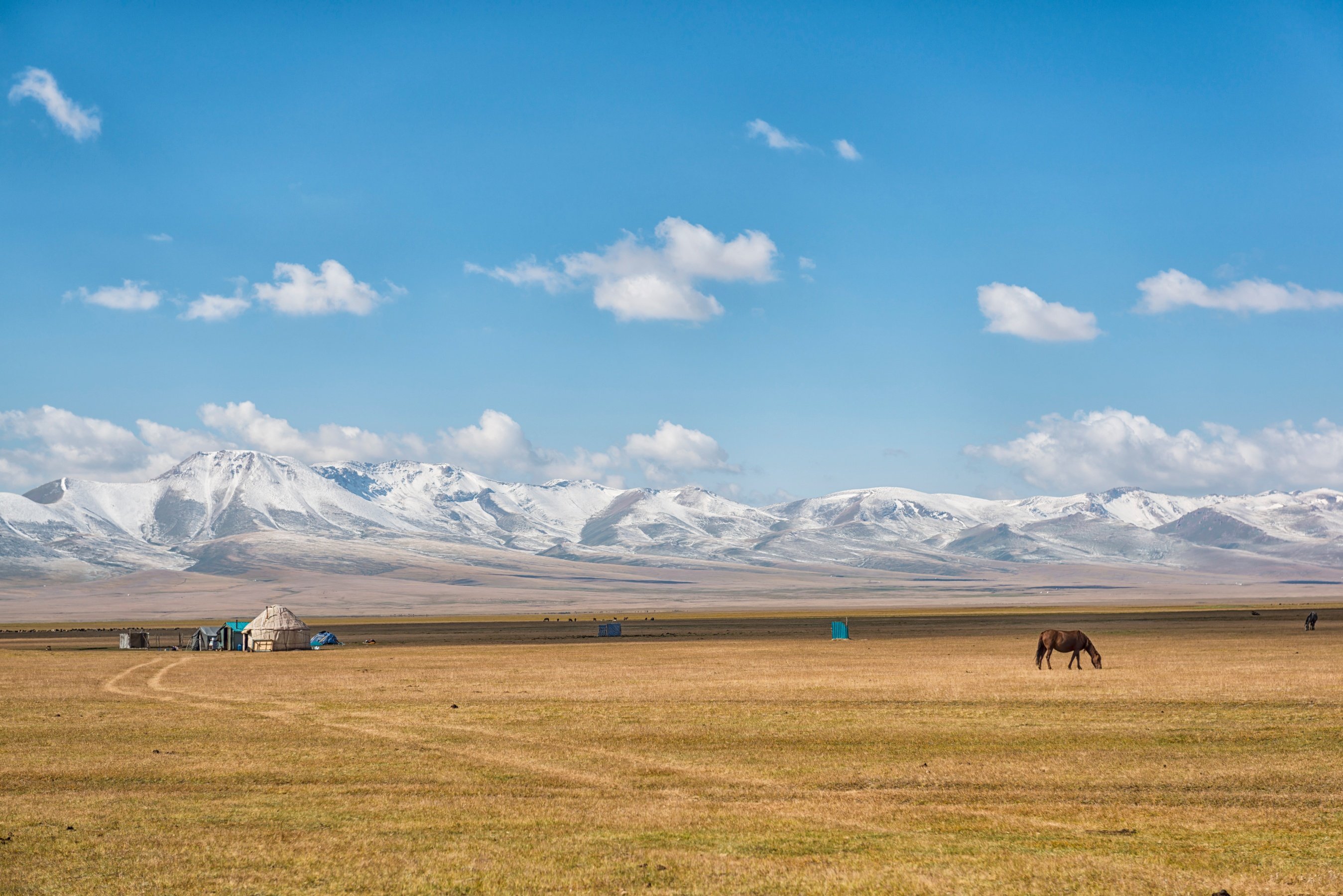 A horse grazing on a flat plain by a small yurt encampment, with the Tian Shan mountains of Kyrgyzstan in the background