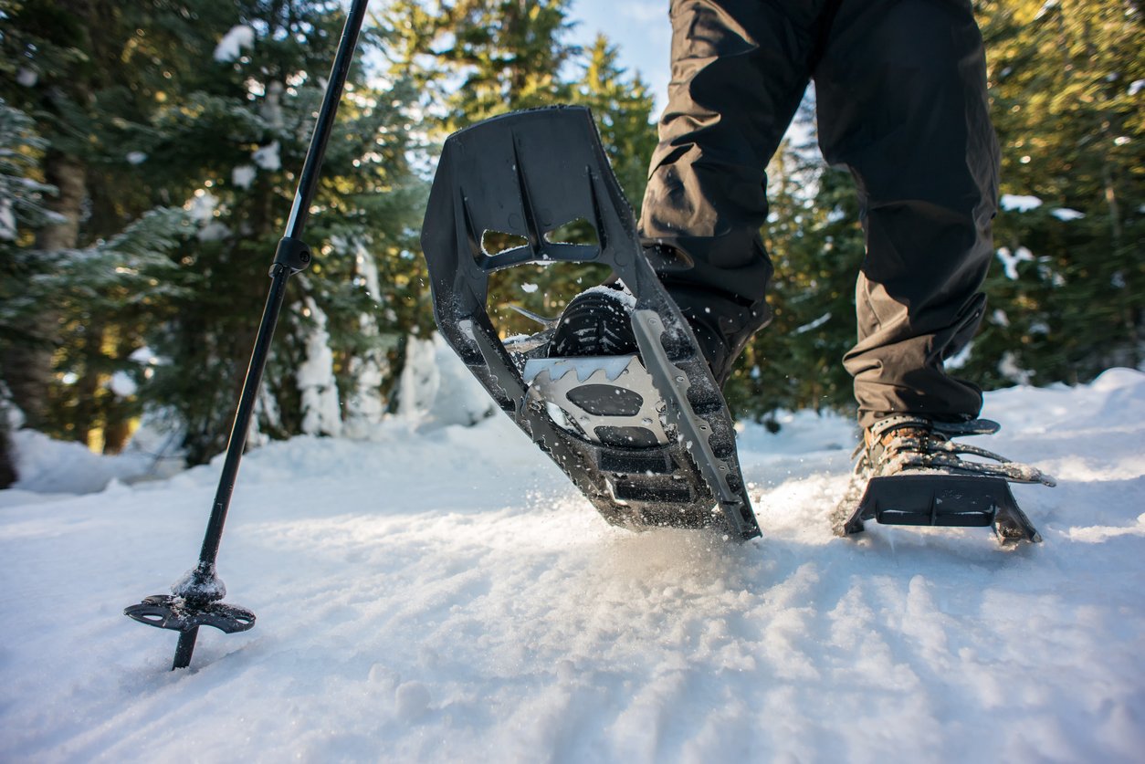 A close up of a snowshoe taken from underneath, as someone walks.